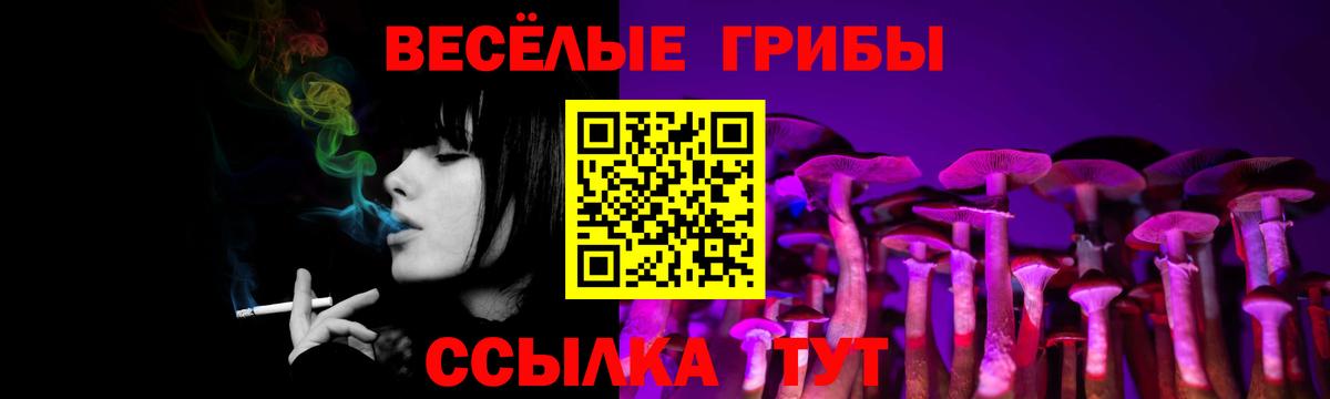 где купить наркоту  Вход с VPN  Нерюнгри  Галлюциногенные грибы Magic Shrooms 